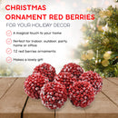 Frosted Red Berries Ornaments - Glittered White Snowflakes on Realistic Red Cranberry Berries Ball Ornament with Rustic Twine String Christmas Tree Decoration Set - Pack of 12