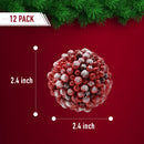 Frosted Red Berries Ornaments - Glittered White Snowflakes on Realistic Red Cranberry Berries Ball Ornament with Rustic Twine String Christmas Tree Decoration Set - Pack of 12